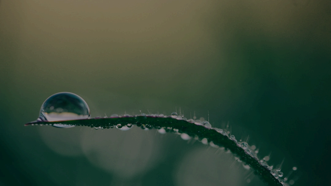 Manual Installation Manual Installation