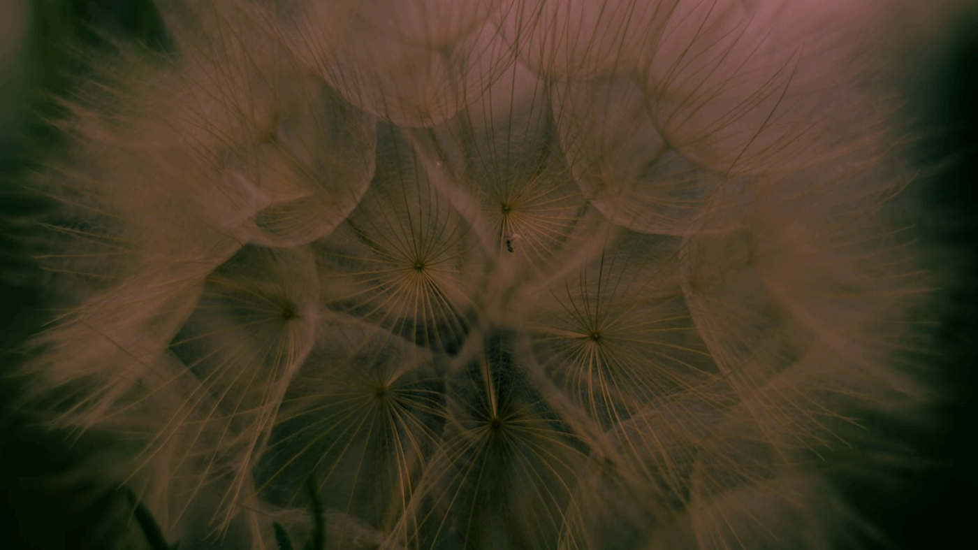 Quick Start Quick Start